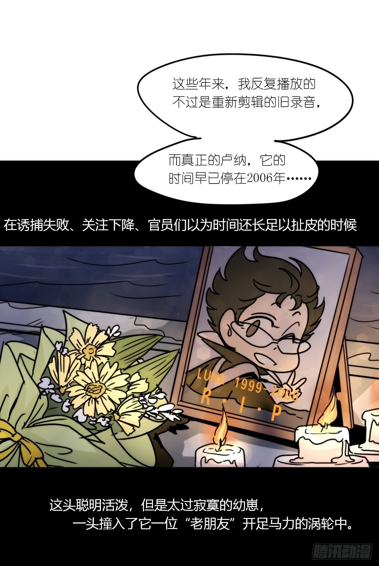 虎鲸篇：这些杀手不太冷15