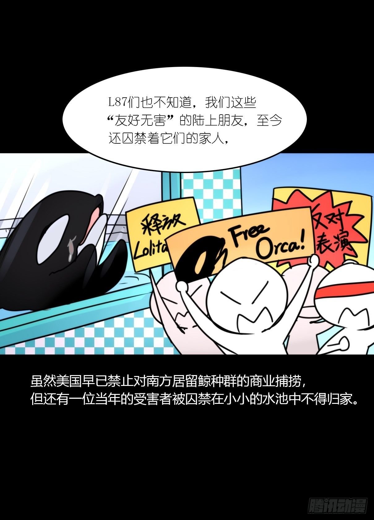 虎鲸篇：这些杀手不太冷15
