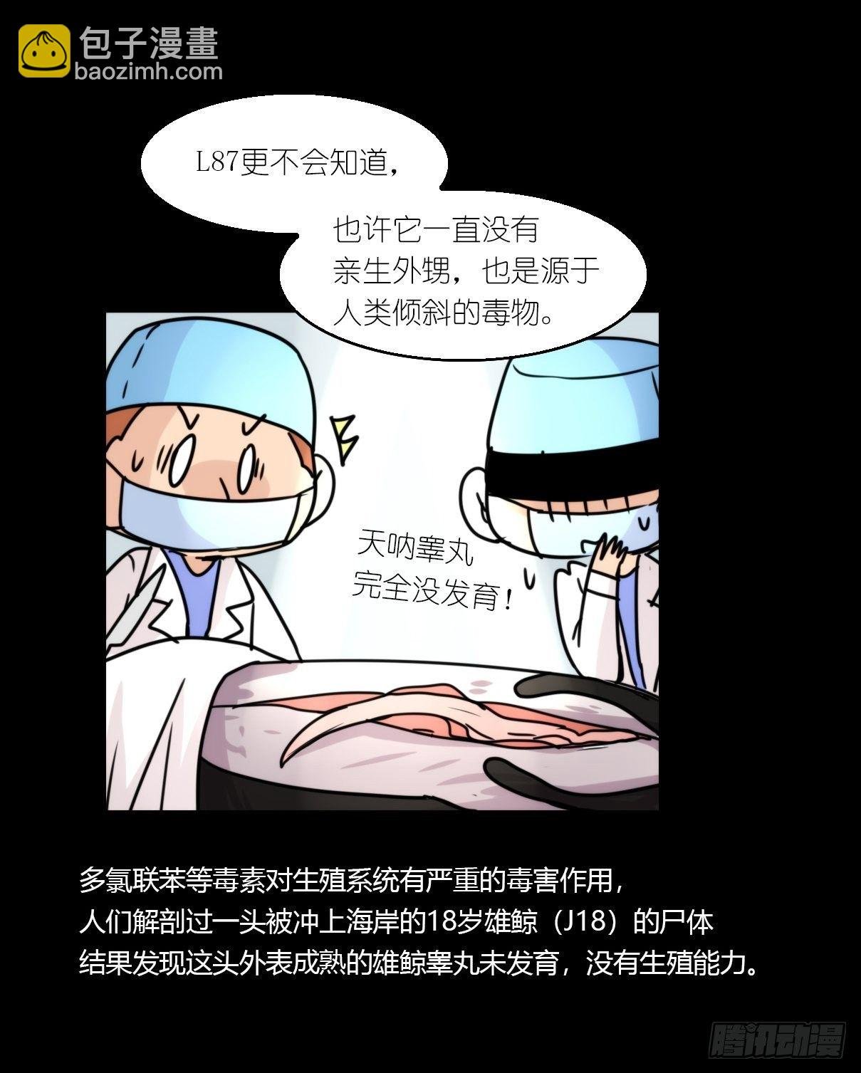 虎鲸篇：这些杀手不太冷15
