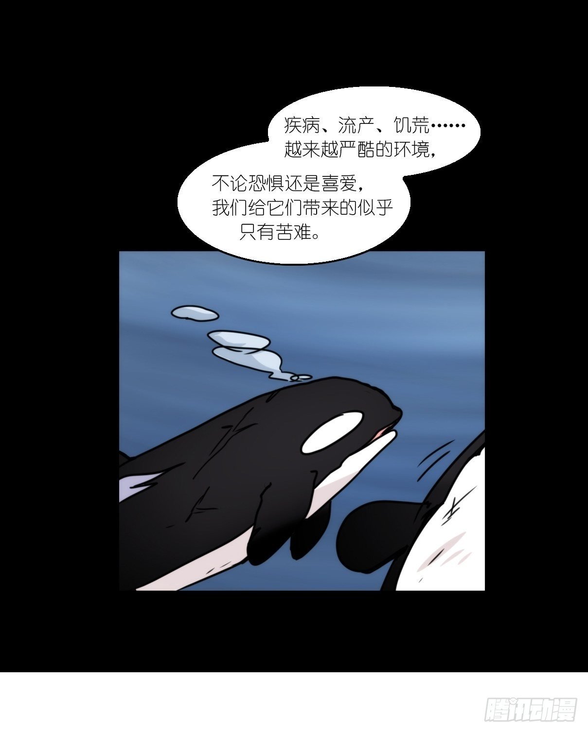 虎鲸篇：这些杀手不太冷15