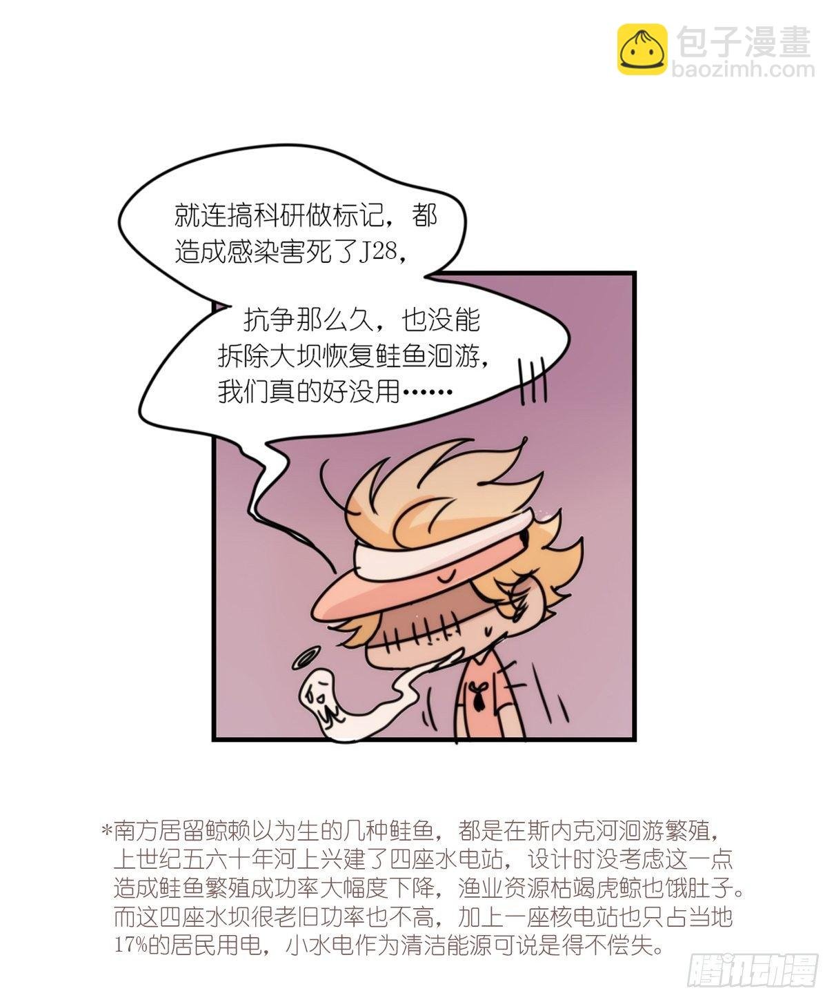 虎鲸篇：这些杀手不太冷15