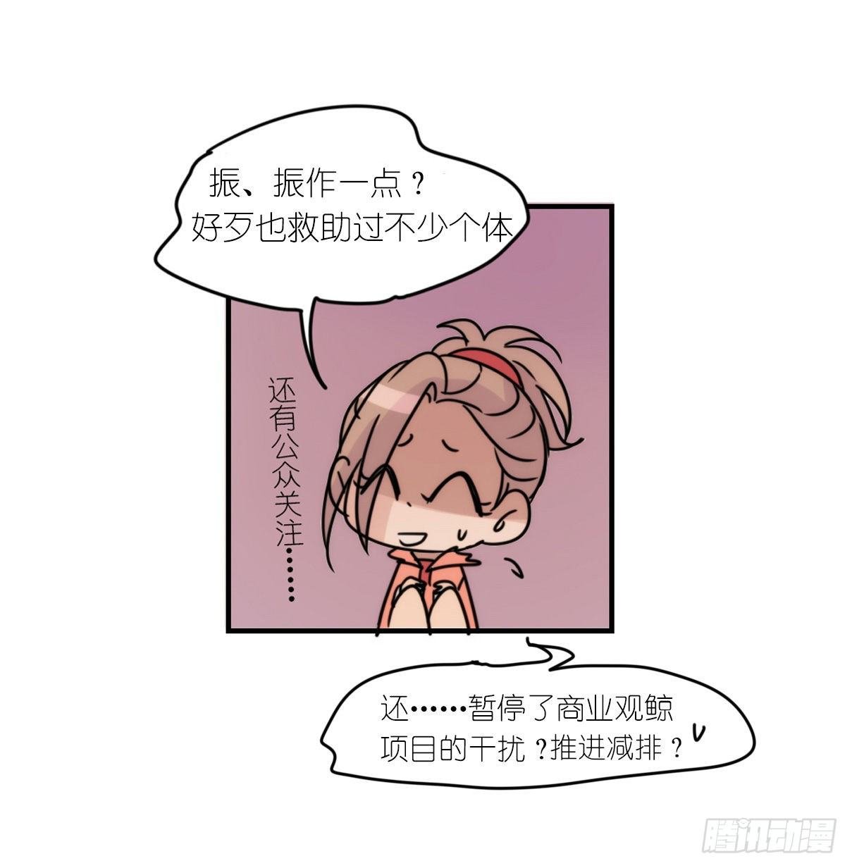 虎鲸篇：这些杀手不太冷15