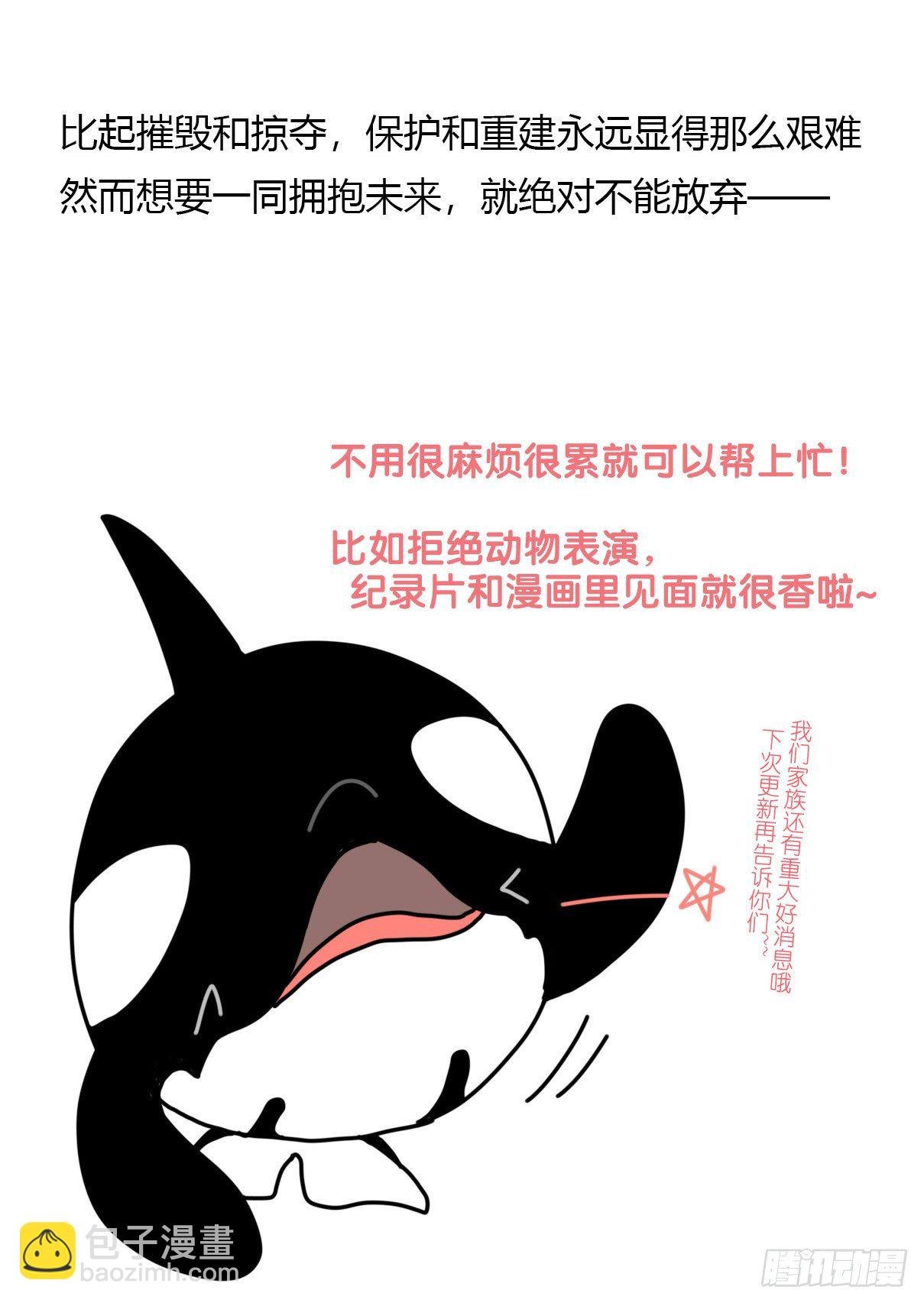 虎鲸篇：这些杀手不太冷15
