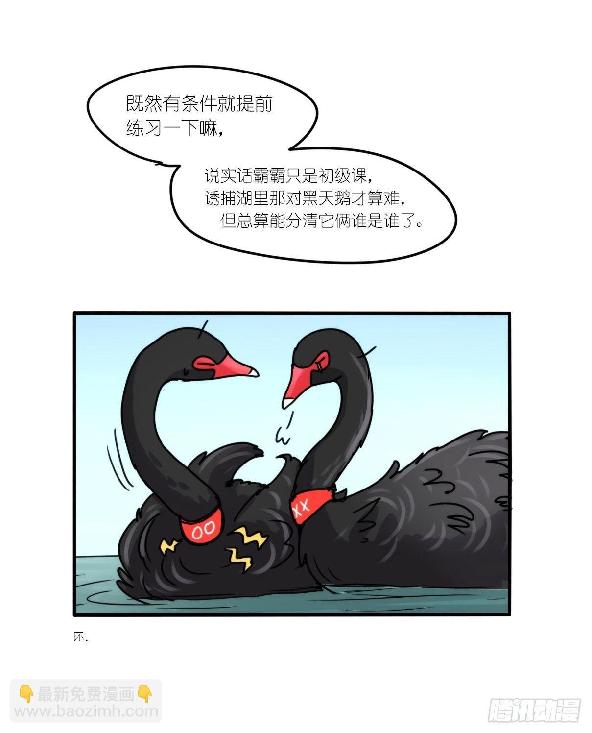 事业篇II：上吧，二呆！01