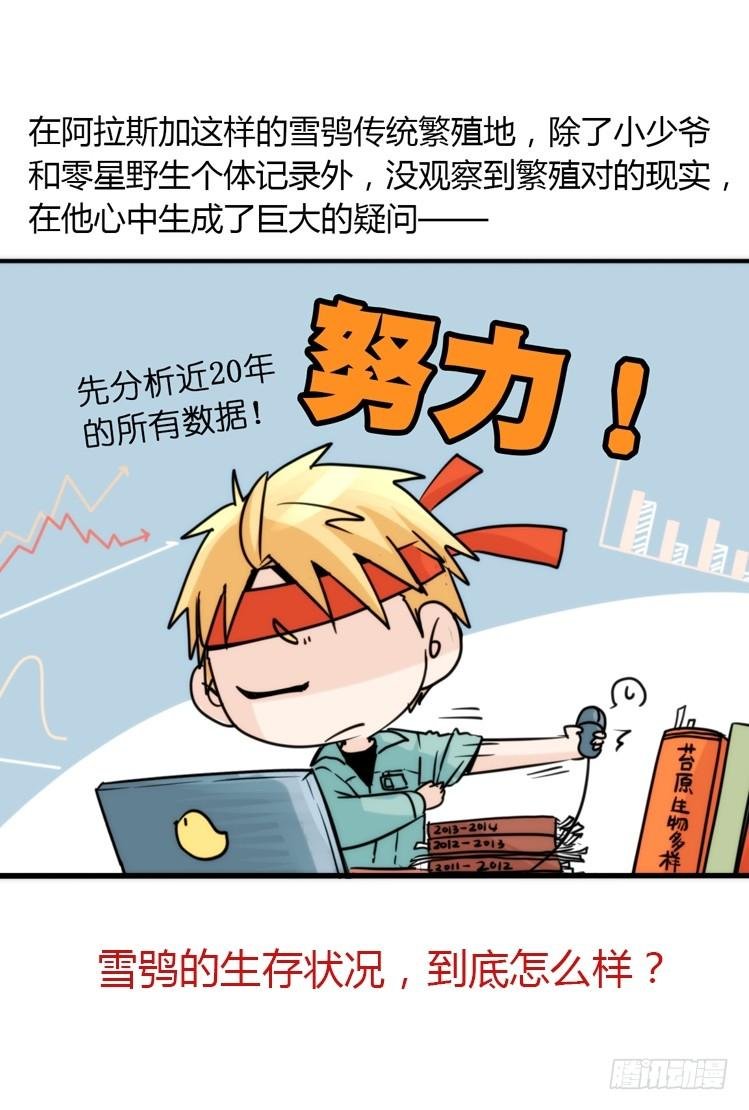 飞吧小少爷：再相逢