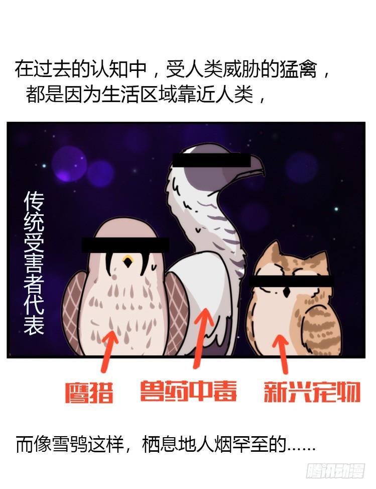 飞吧小少爷：再相逢
