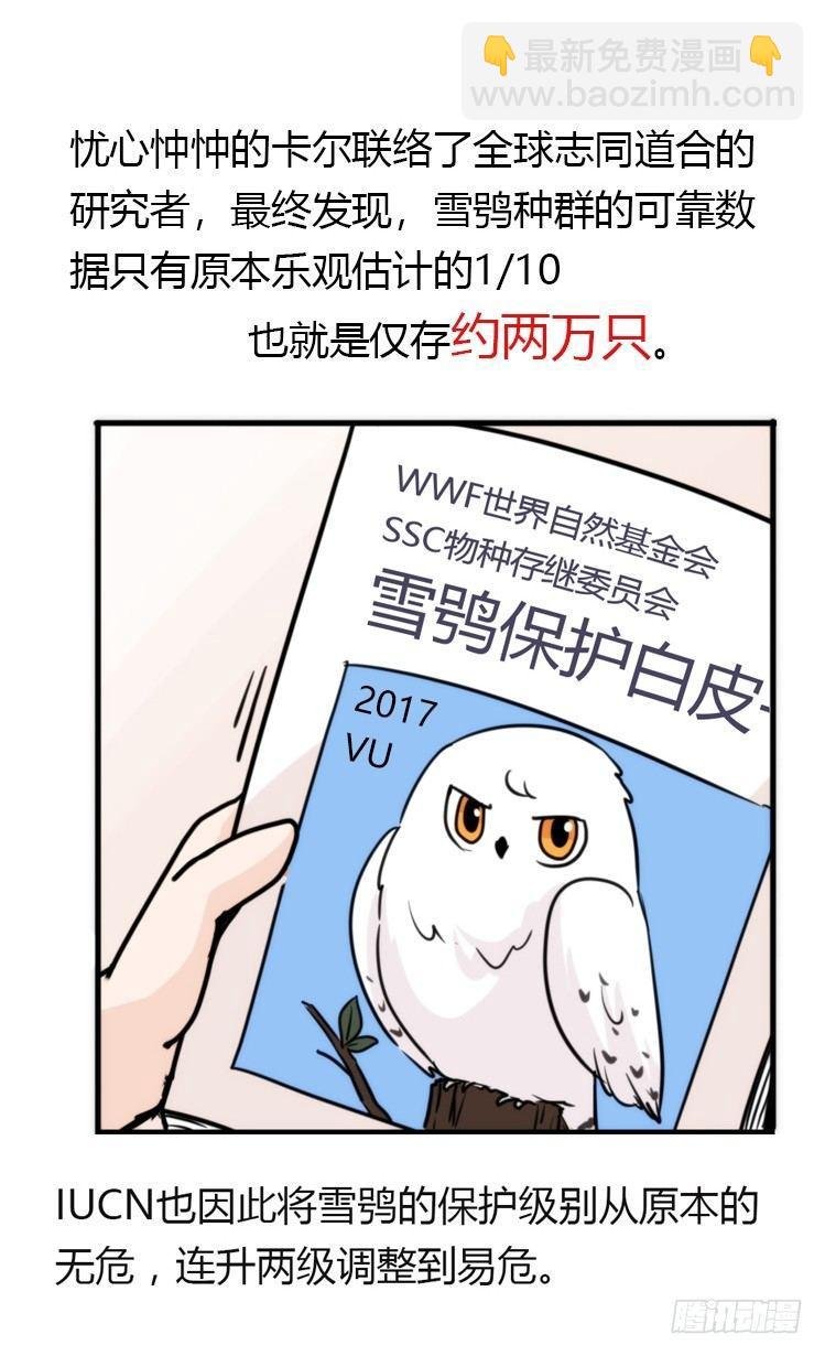 飞吧小少爷：再相逢