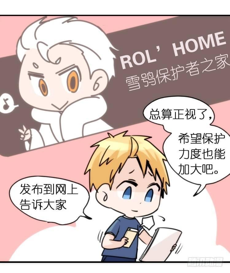 飞吧小少爷：再相逢
