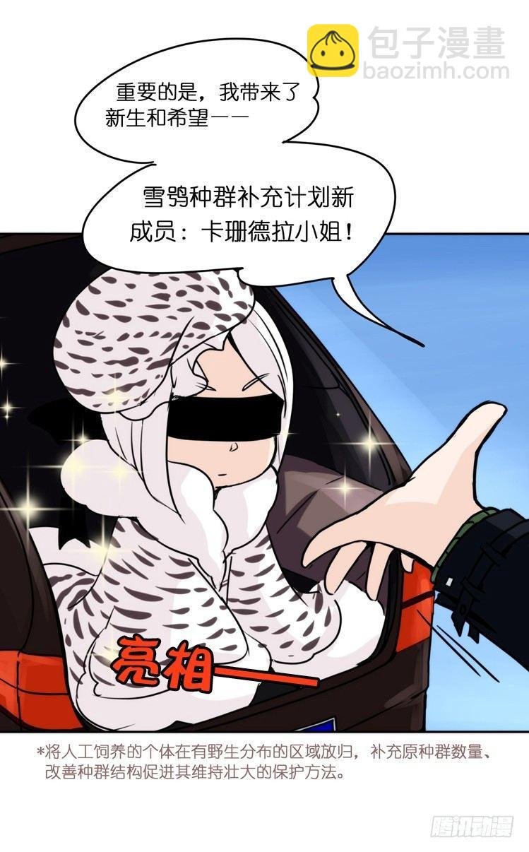 飞吧小少爷：再相逢