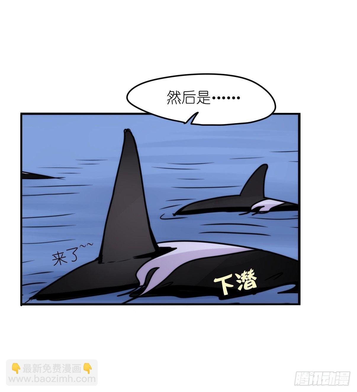虎鲸L87番外·不愧是你