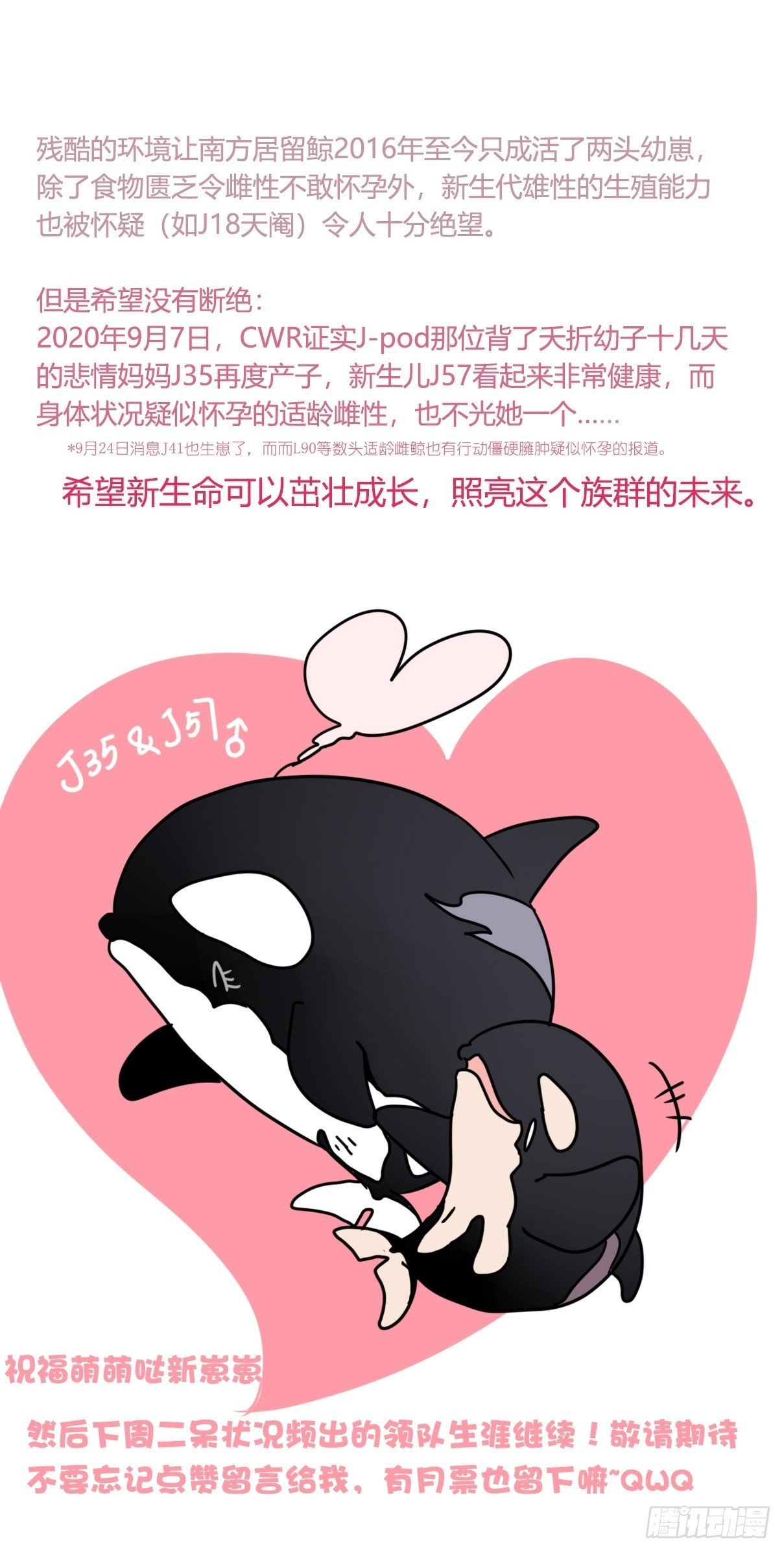 虎鲸L87番外·不愧是你