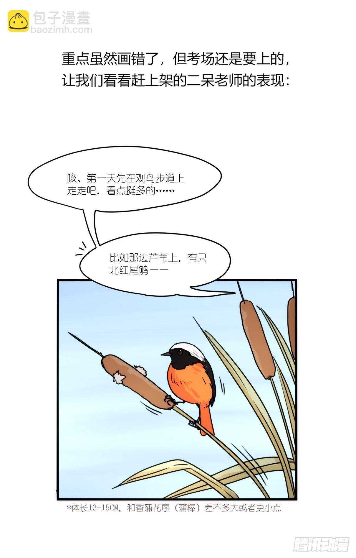事业篇II：上吧，二呆！02