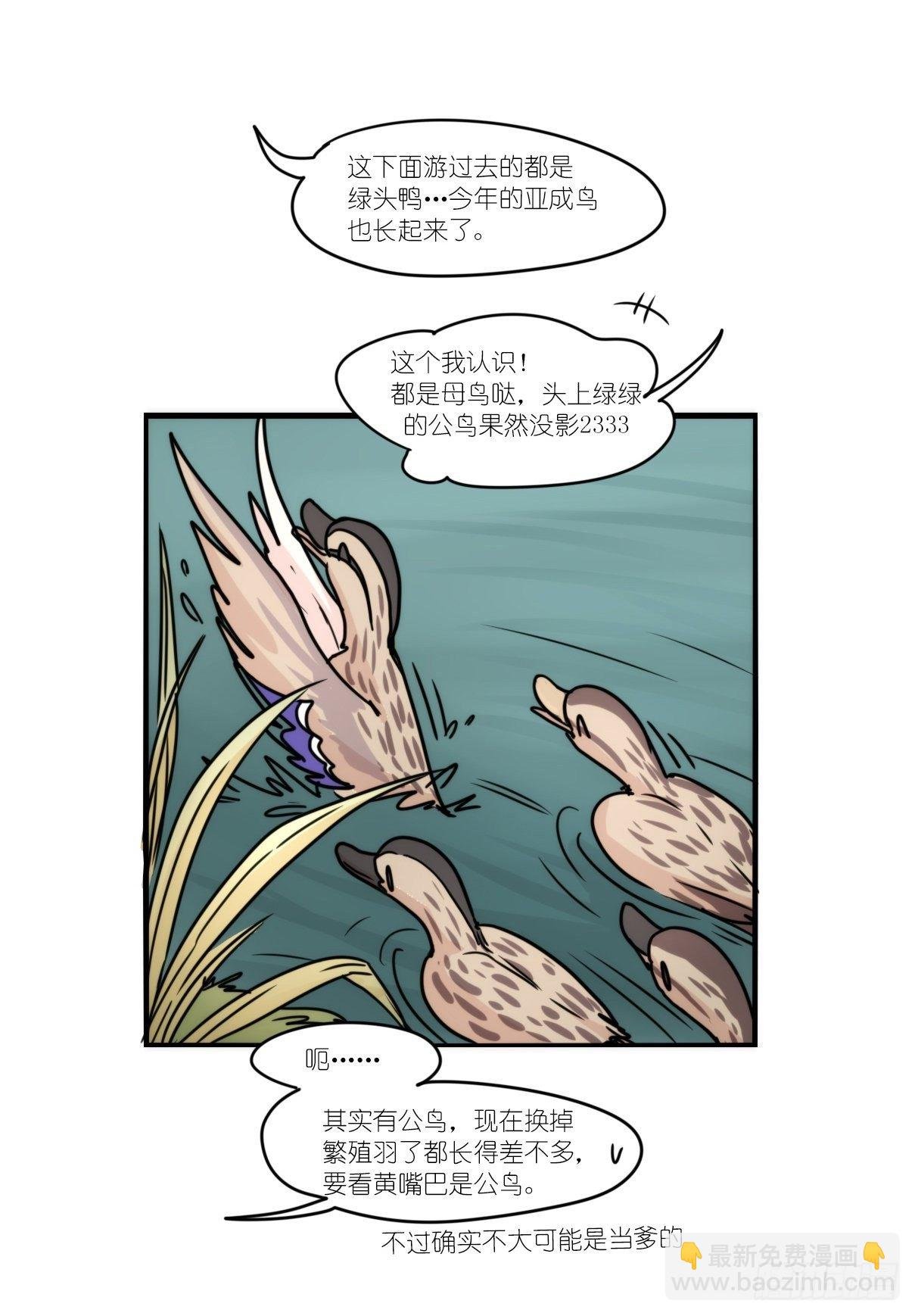 事业篇II：上吧，二呆！02