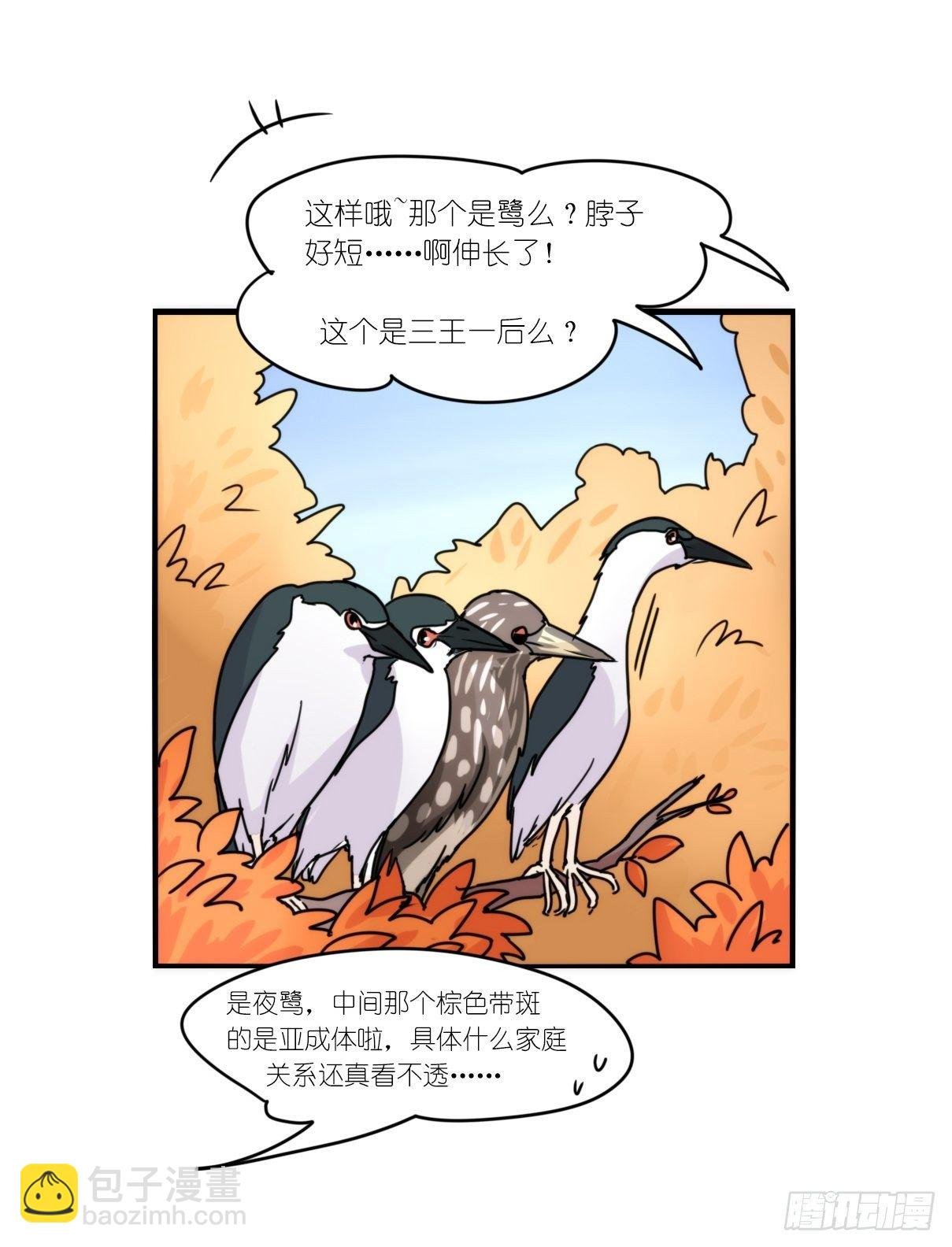 事业篇II：上吧，二呆！02