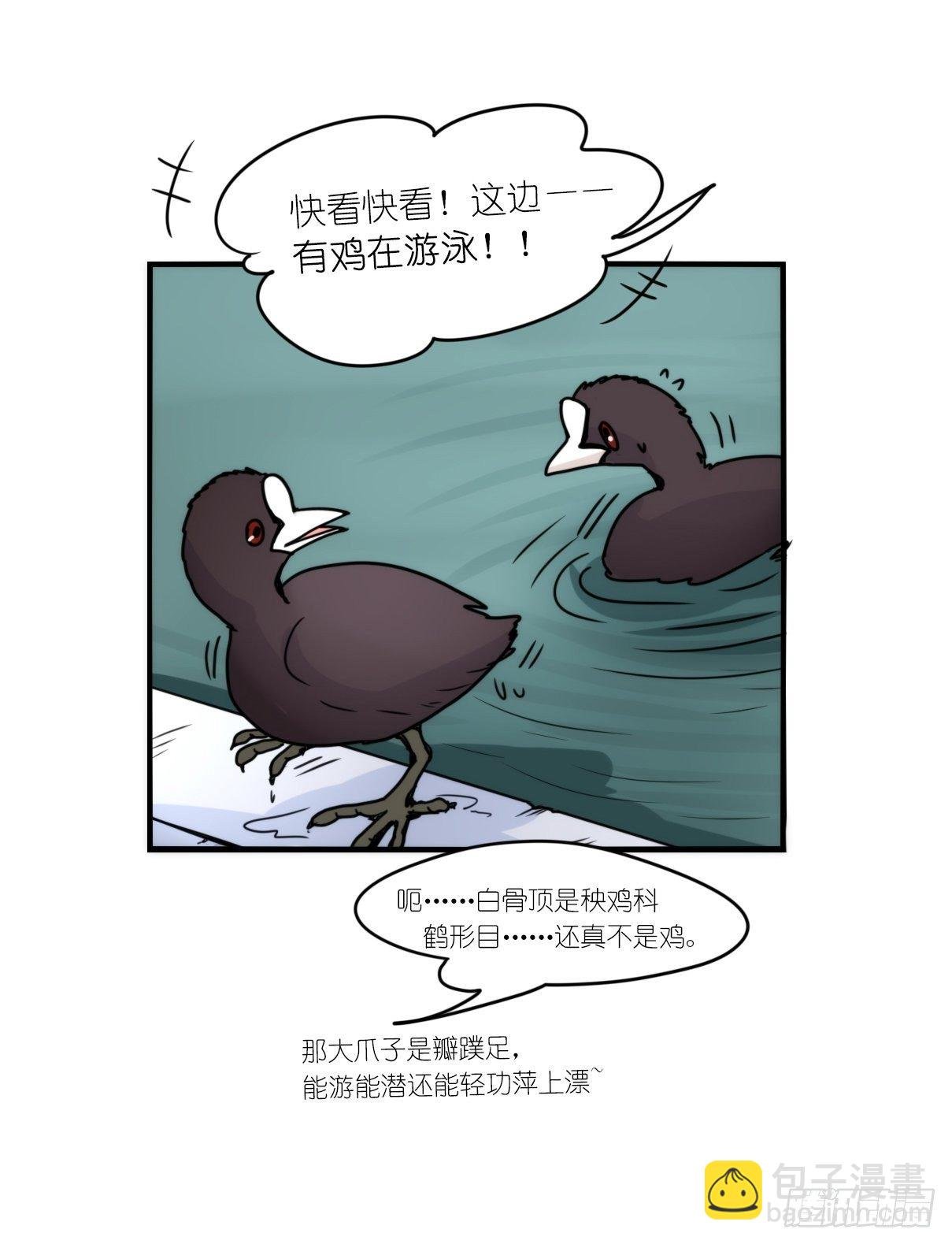 事业篇II：上吧，二呆！02