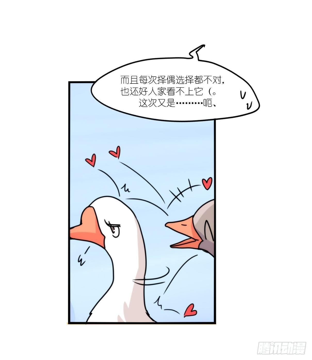 事业篇II：上吧，二呆！02