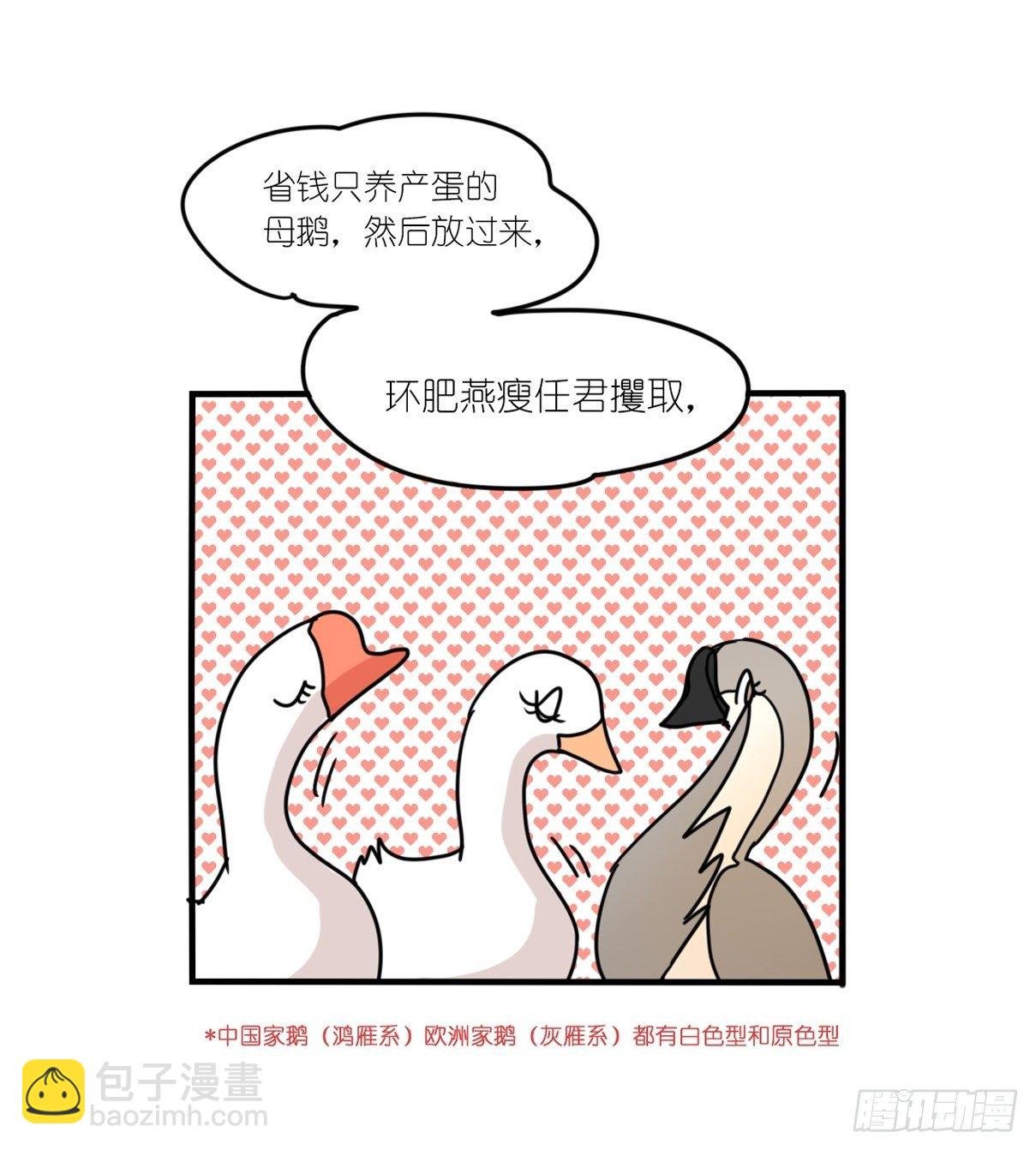 事业篇II：上吧，二呆！02