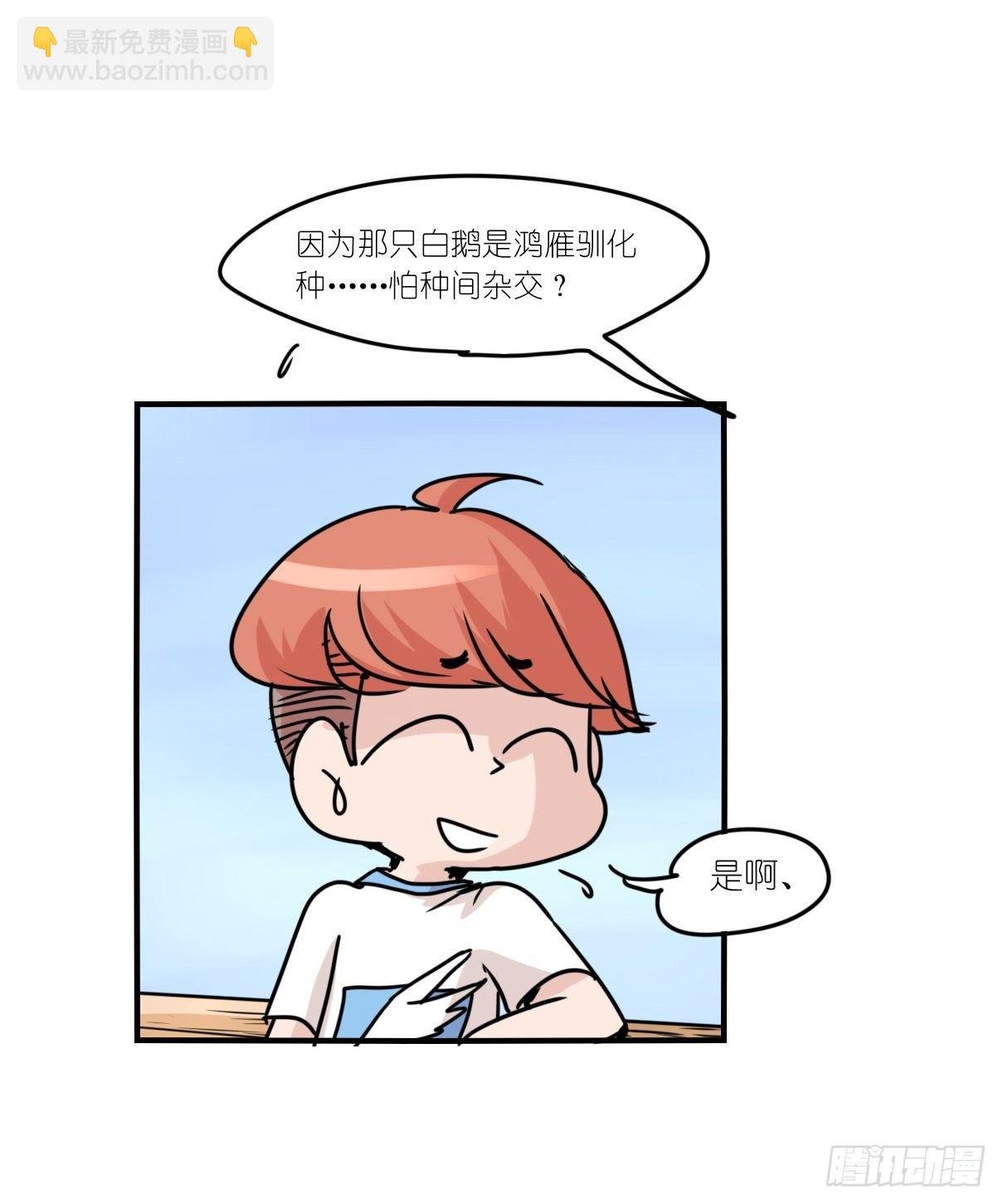 事业篇II：上吧，二呆！02