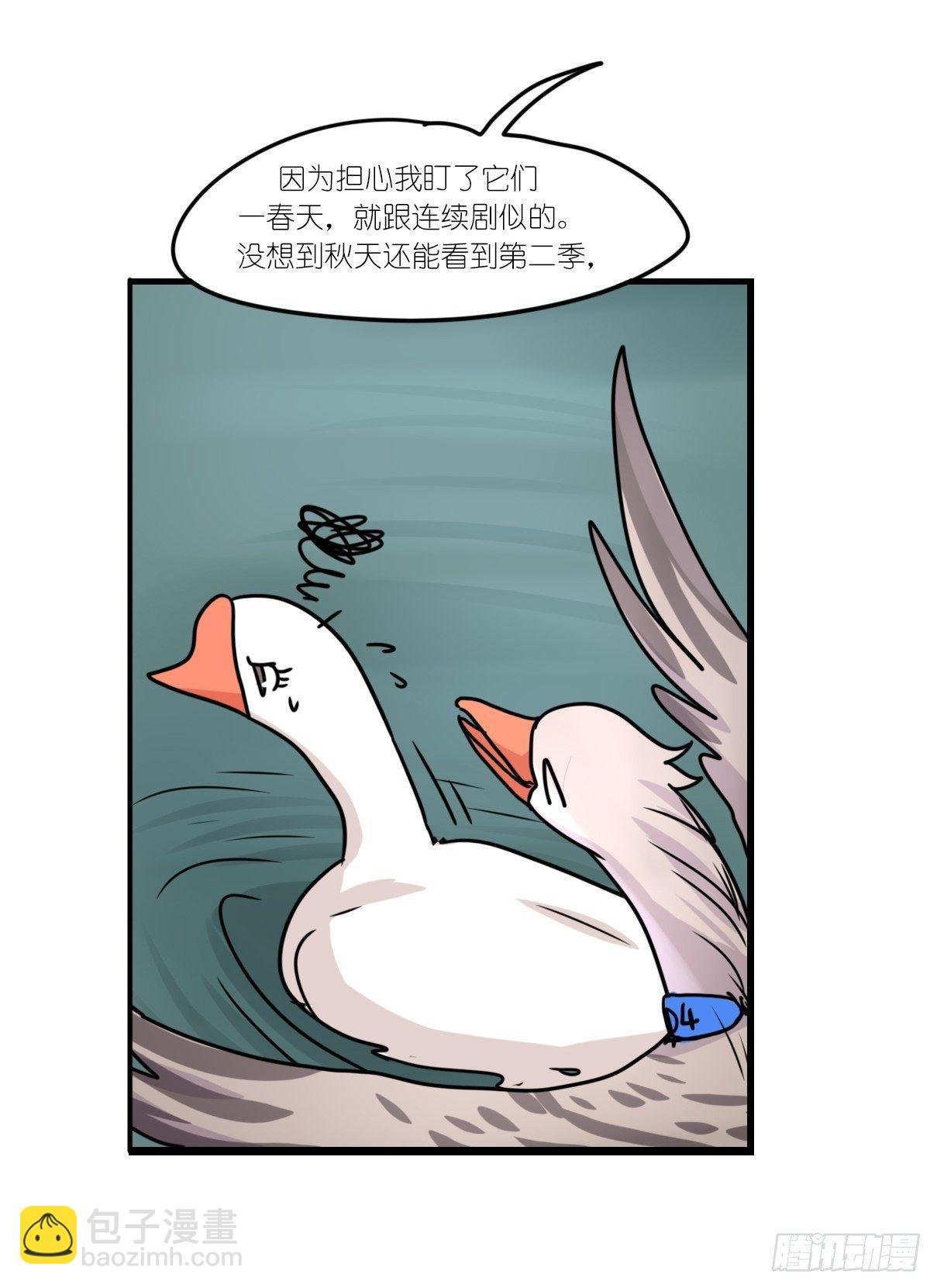 事业篇II：上吧，二呆！02