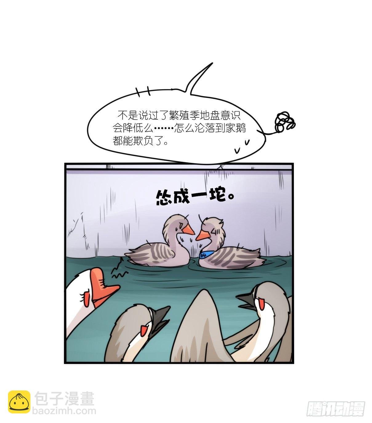 事业篇II：拜见岳父大人！