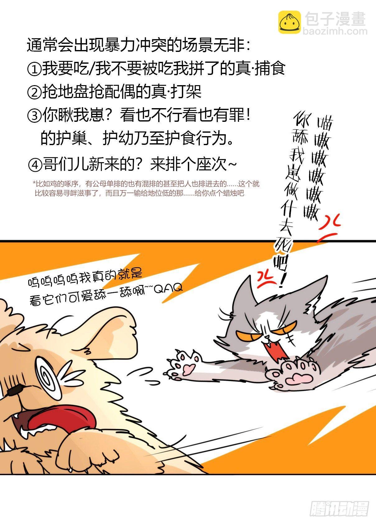 事业篇II：拜见岳父大人！