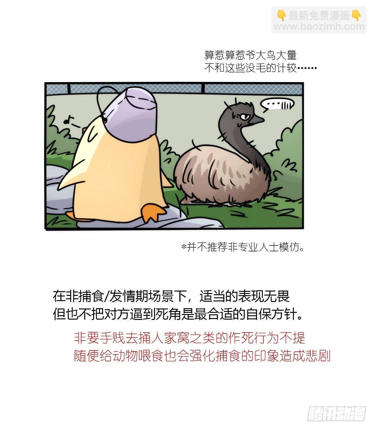 事业篇II：拜见岳父大人！