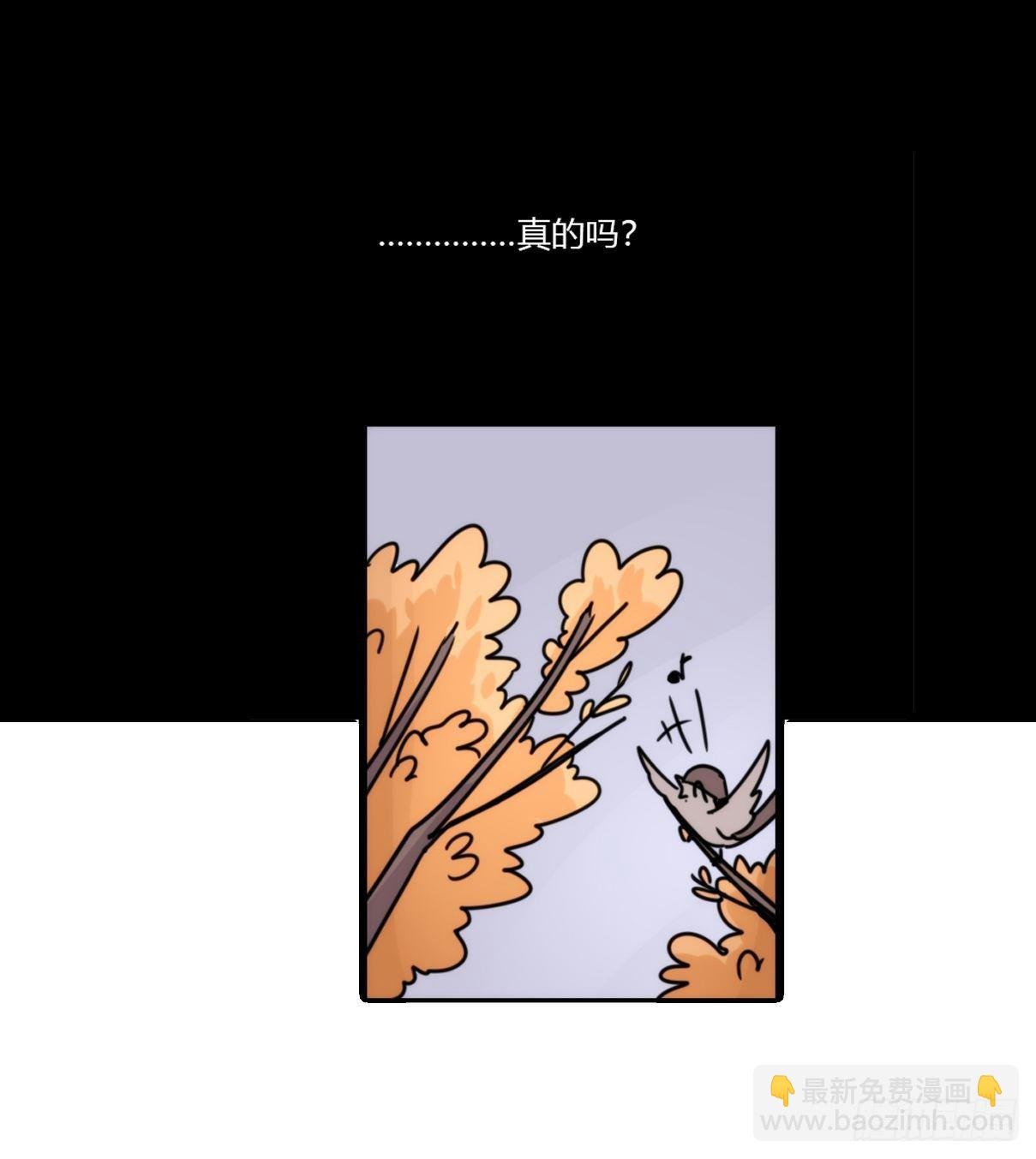 事业篇II：这一夜，究竟……