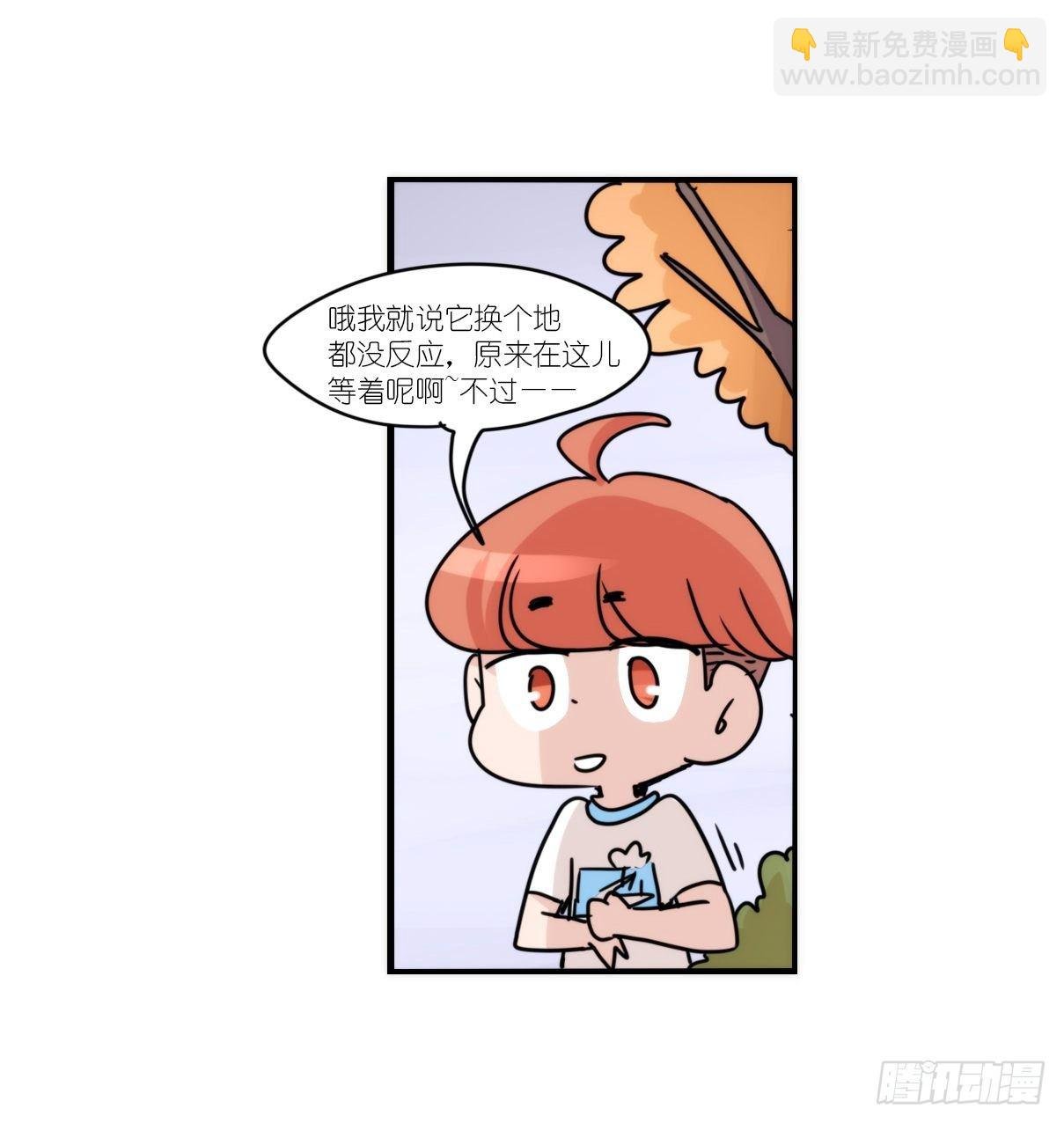 事业篇II：这一夜，究竟……