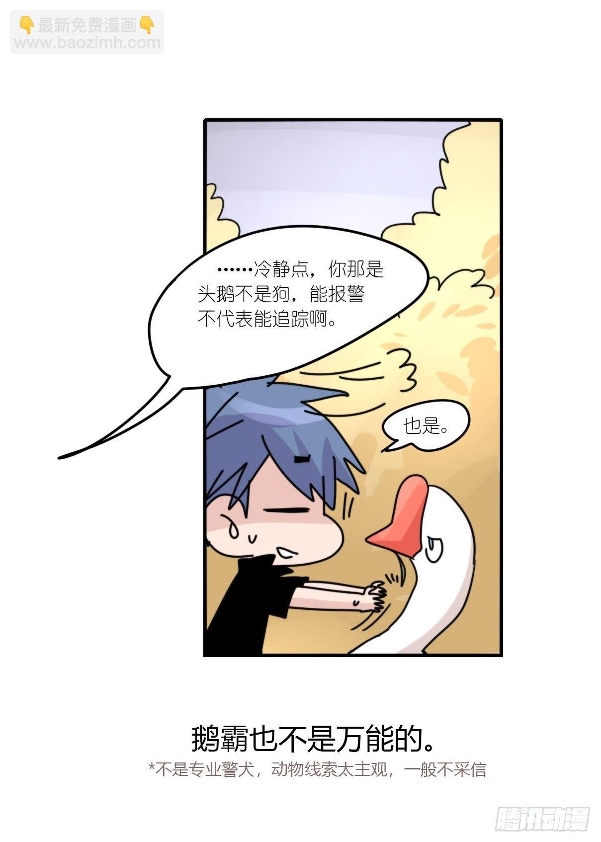 事业篇II：这一夜，究竟……