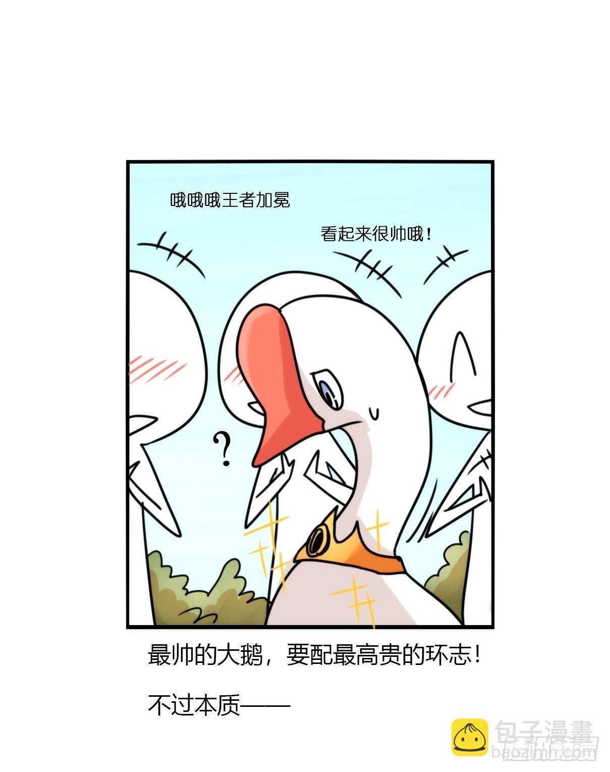 事业篇II：霸霸的本业