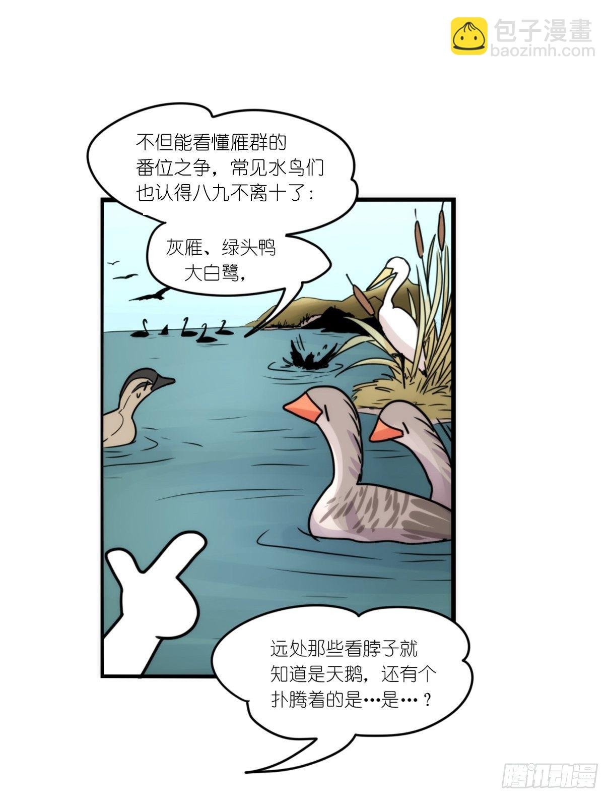 事业篇II：霸霸的本业