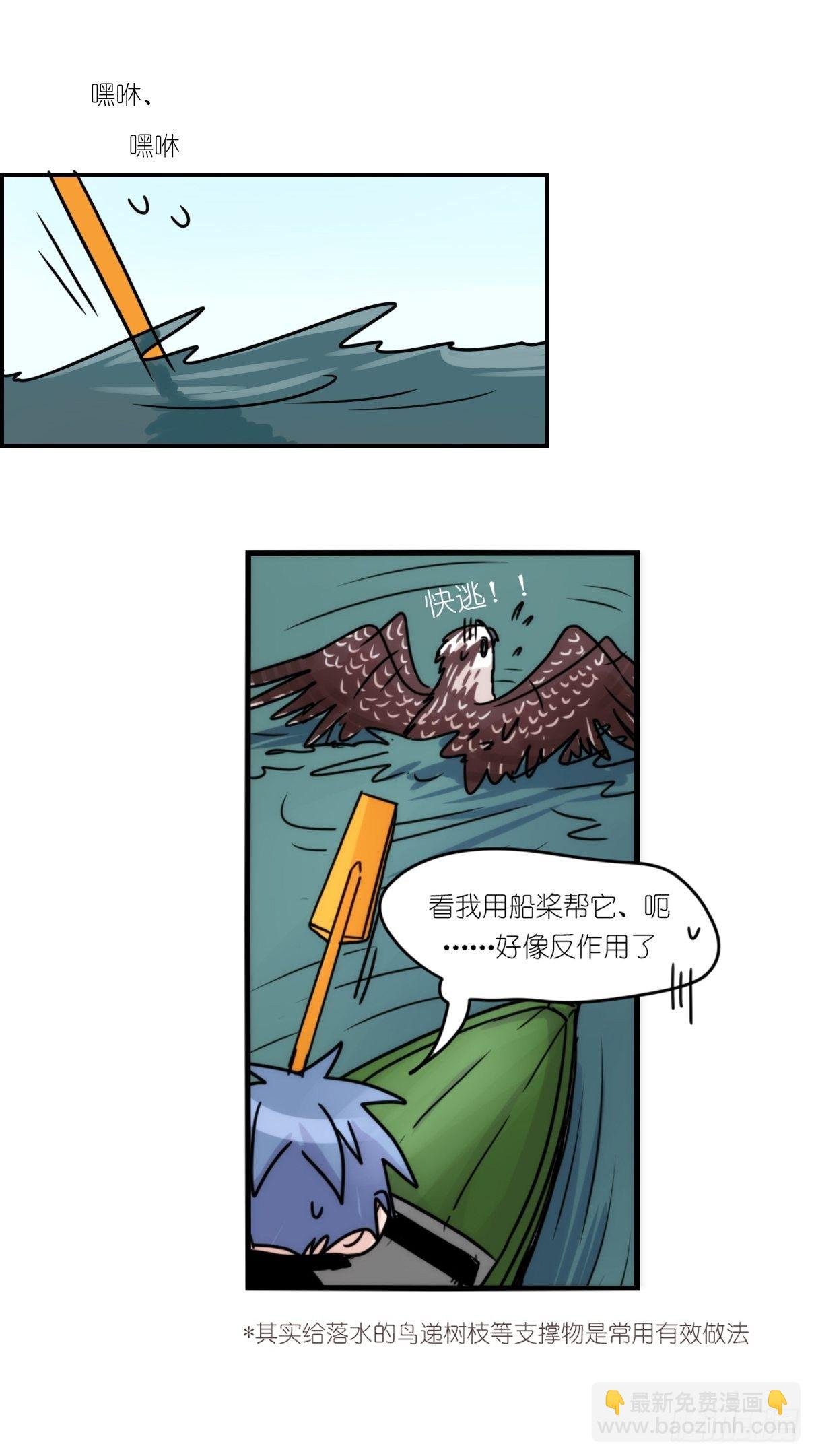 事业篇II：霸霸的本业