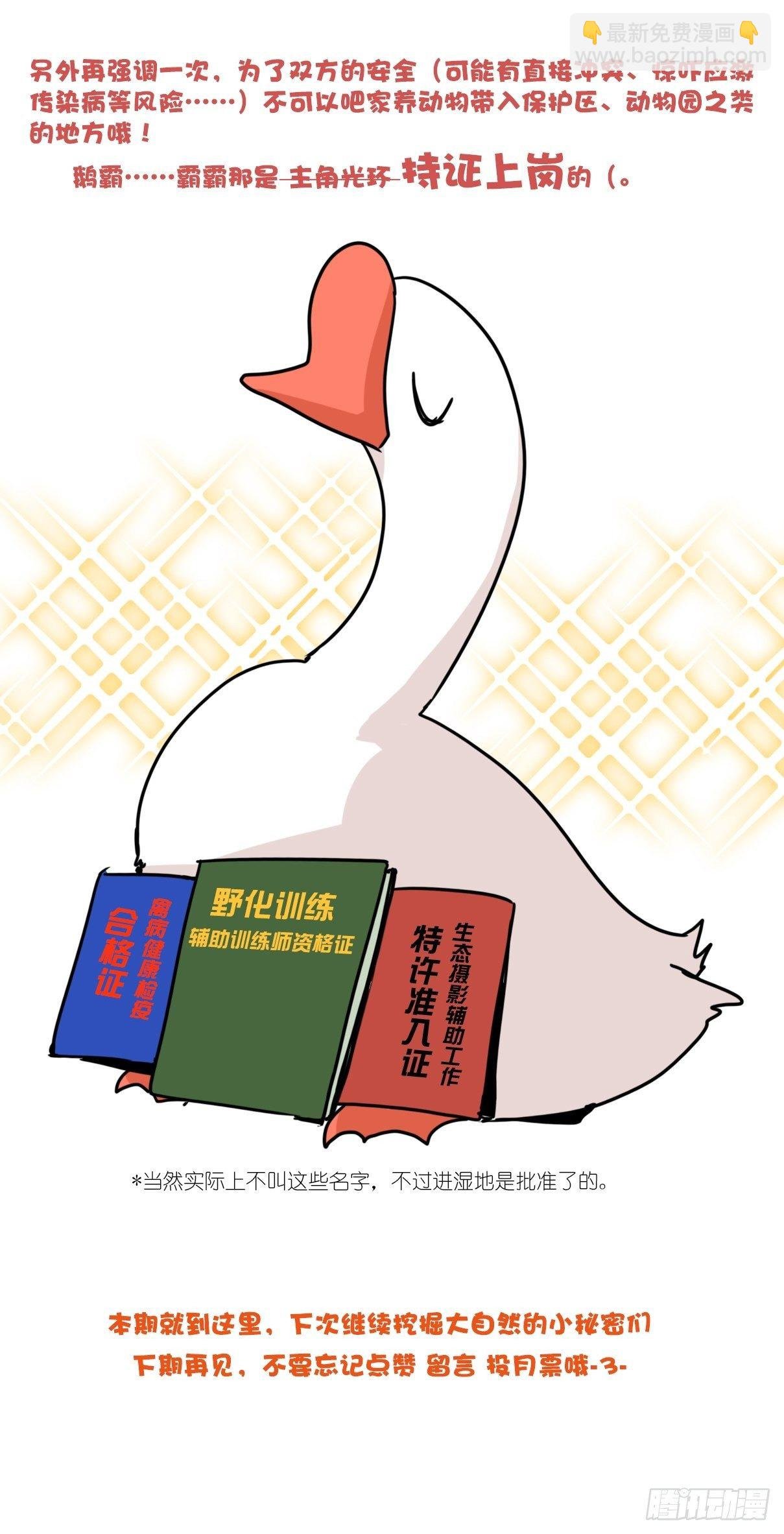 事业篇II：霸霸的本业