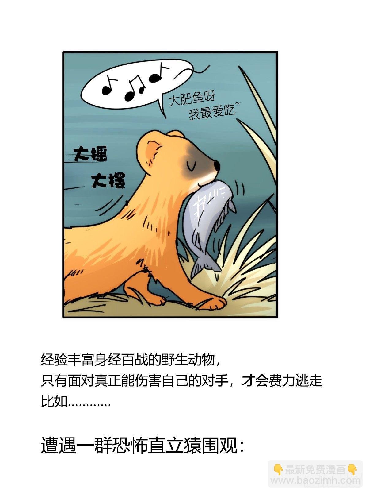 事业篇II：打得过才叫对手