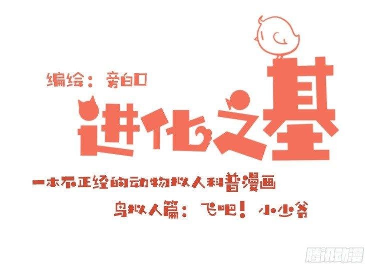飞吧小少爷：现实问题