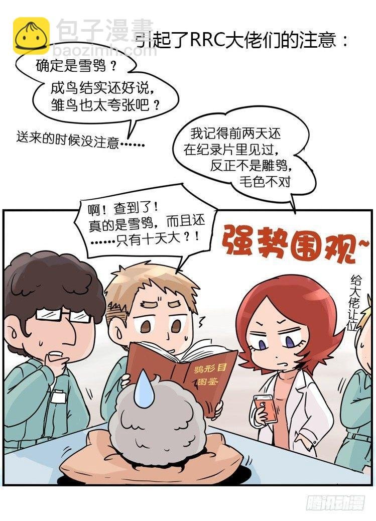 飞吧小少爷：现实问题