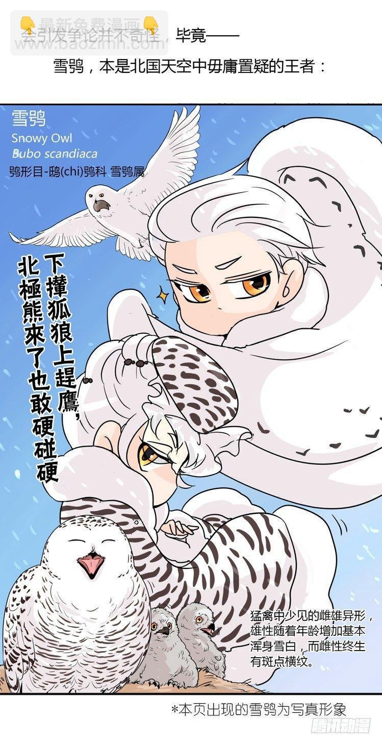 飞吧小少爷：现实问题