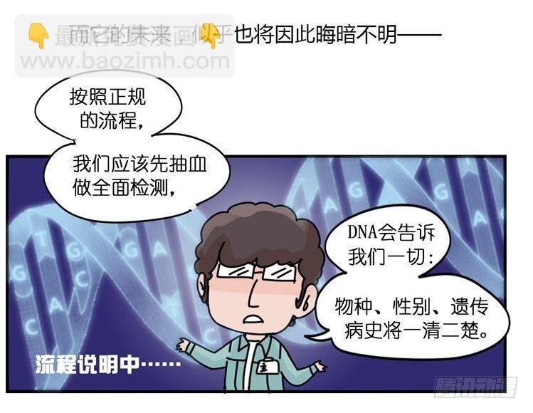 飞吧小少爷：现实问题