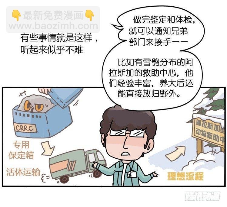 飞吧小少爷：现实问题