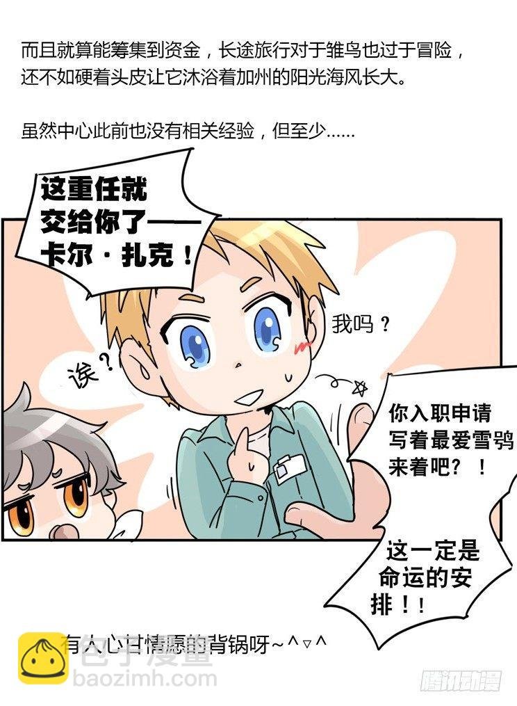 飞吧小少爷：现实问题