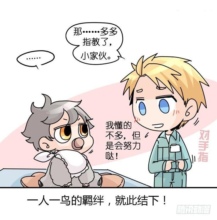 飞吧小少爷：现实问题