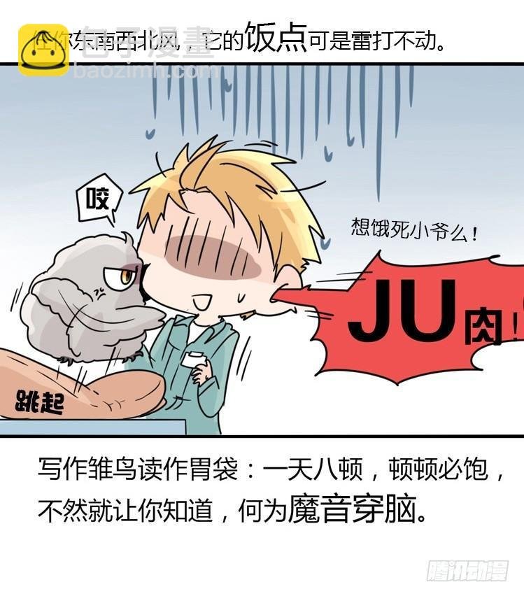飞吧小少爷：现实问题