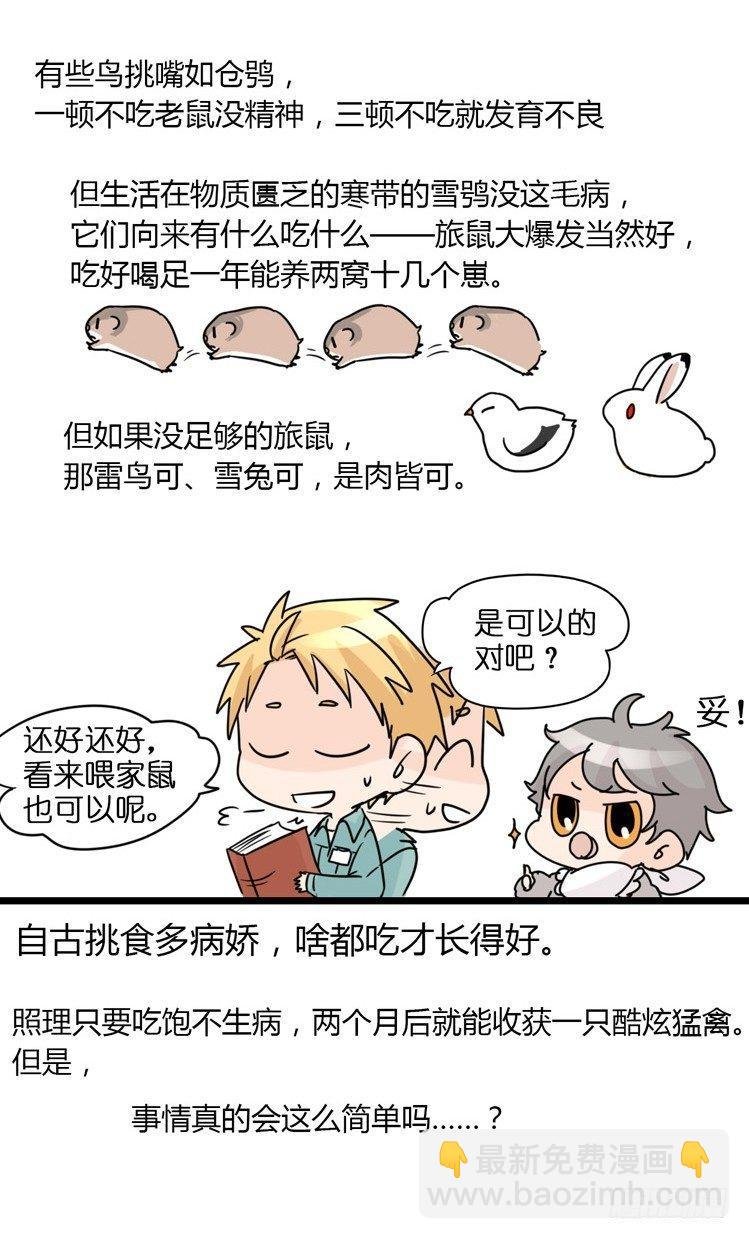 飞吧小少爷：现实问题