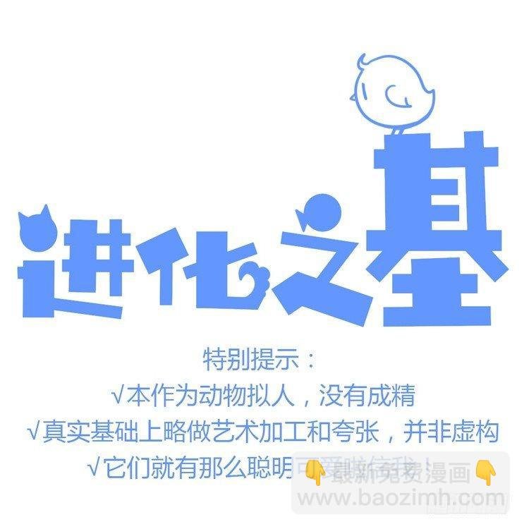 飞吧小少爷：现实问题