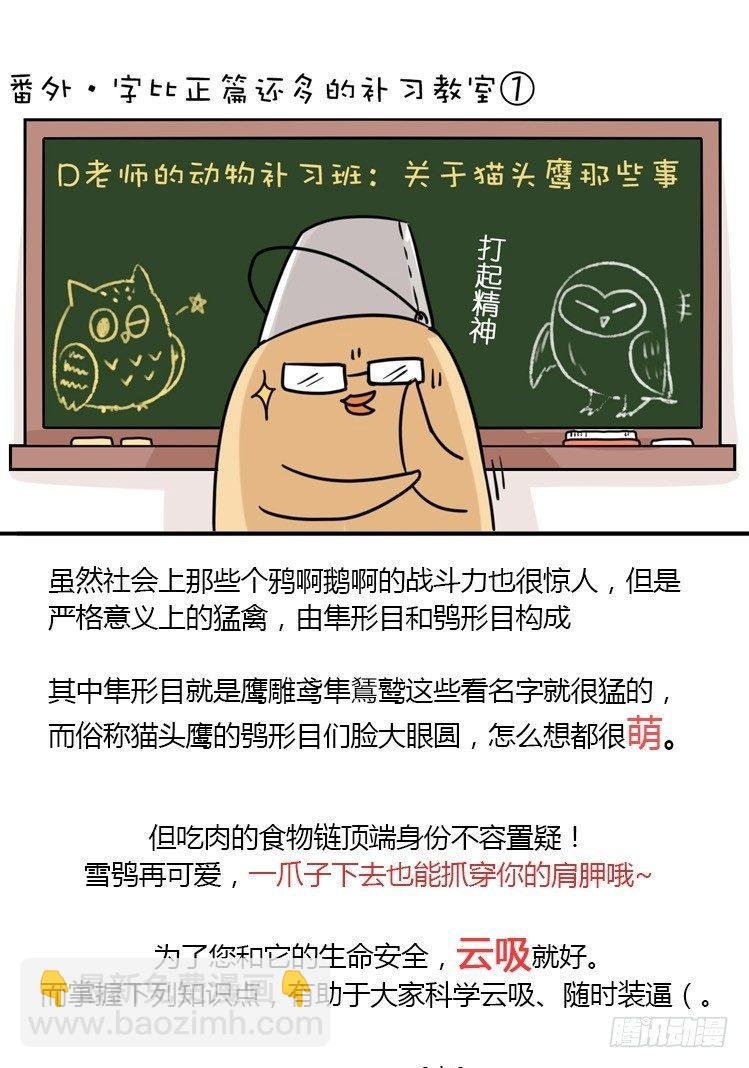 飞吧小少爷：现实问题