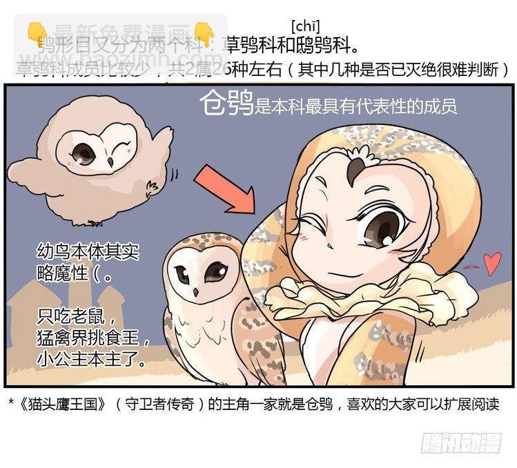 飞吧小少爷：现实问题