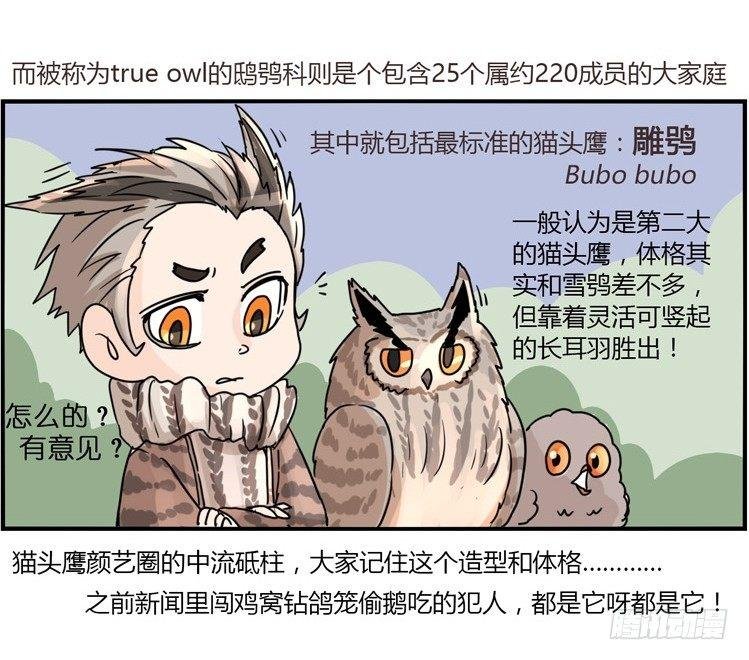 飞吧小少爷：现实问题