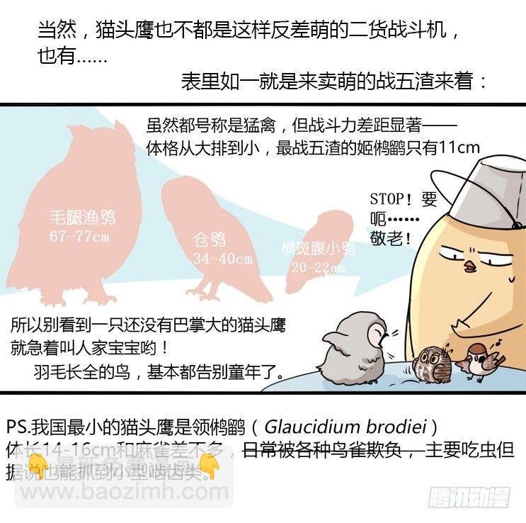 飞吧小少爷：现实问题