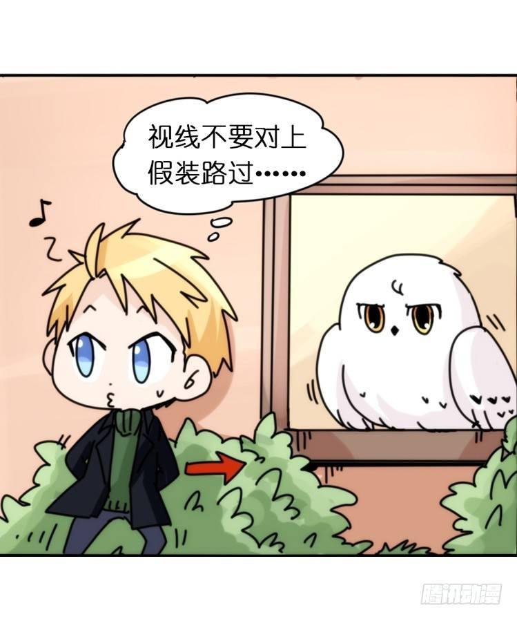 飞吧小少爷：注意风度呀！