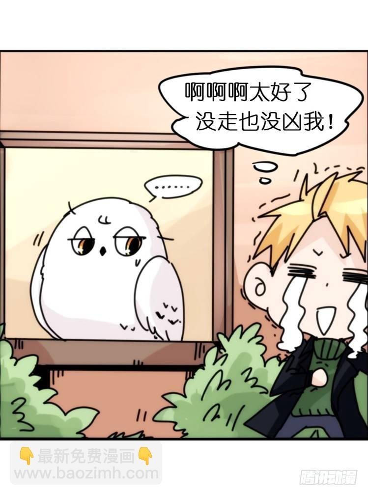 飞吧小少爷：注意风度呀！